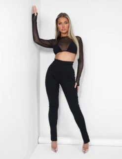 Mesh Long Sleeve Underbust Top Black