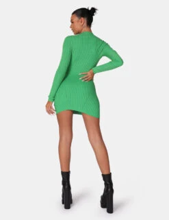 Knitted High Neck Long Sleeve Contrast Stitch Mini Dress Green -LoafLuxe Shop 771A6372