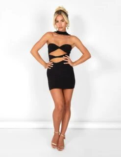 Choker Detail Cut Out Mini Dress Black -LoafLuxe Shop casey03.083097